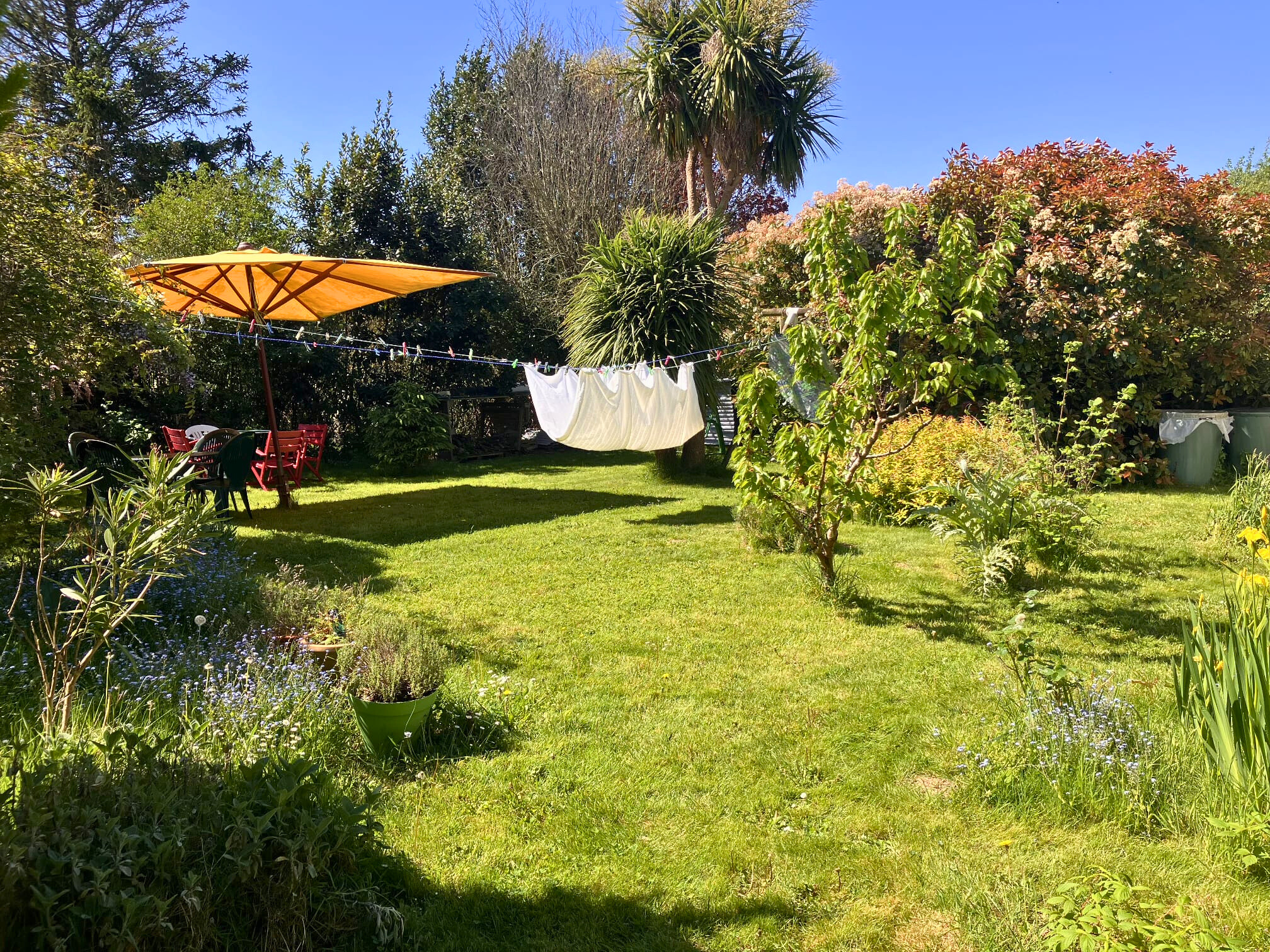 jardin
