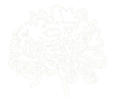 Agence immobilière Douarnenez Armeria Immobilier